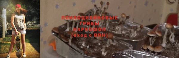 мет Абаза