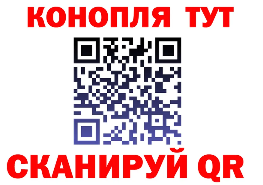 ГАШ Ice-O-Lator tor площадка кракен Куртамыш