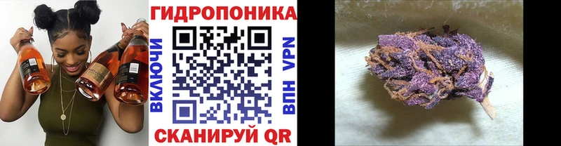 Каннабис Amnesia Куртамыш